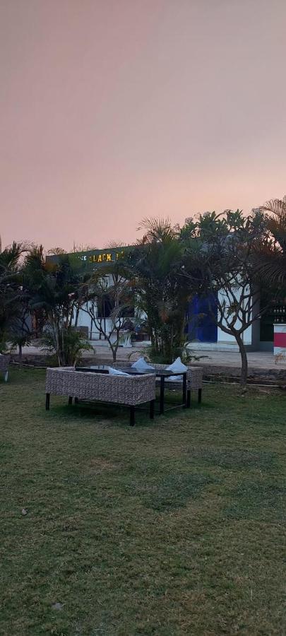 The Black Leaf Raipur (Chhattisgarh) Exterior photo